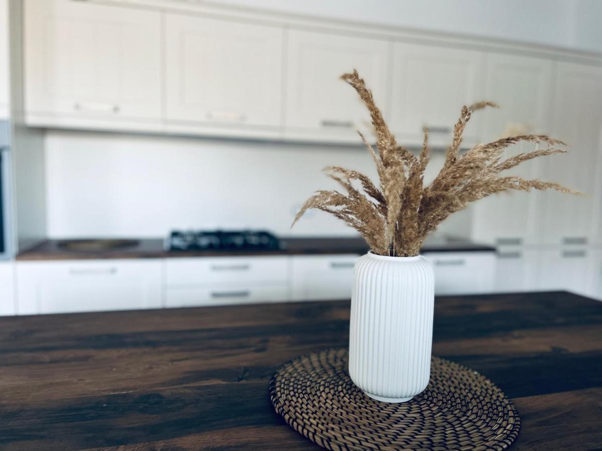 Apartment Country House Zaton Tisina Εξωτερικό φωτογραφία