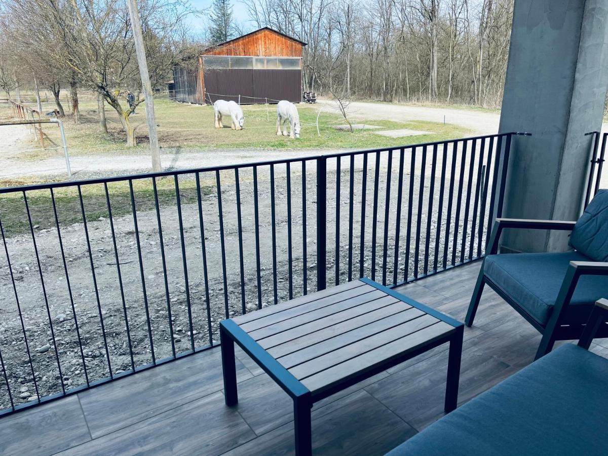 Apartment Country House Zaton Tisina Εξωτερικό φωτογραφία