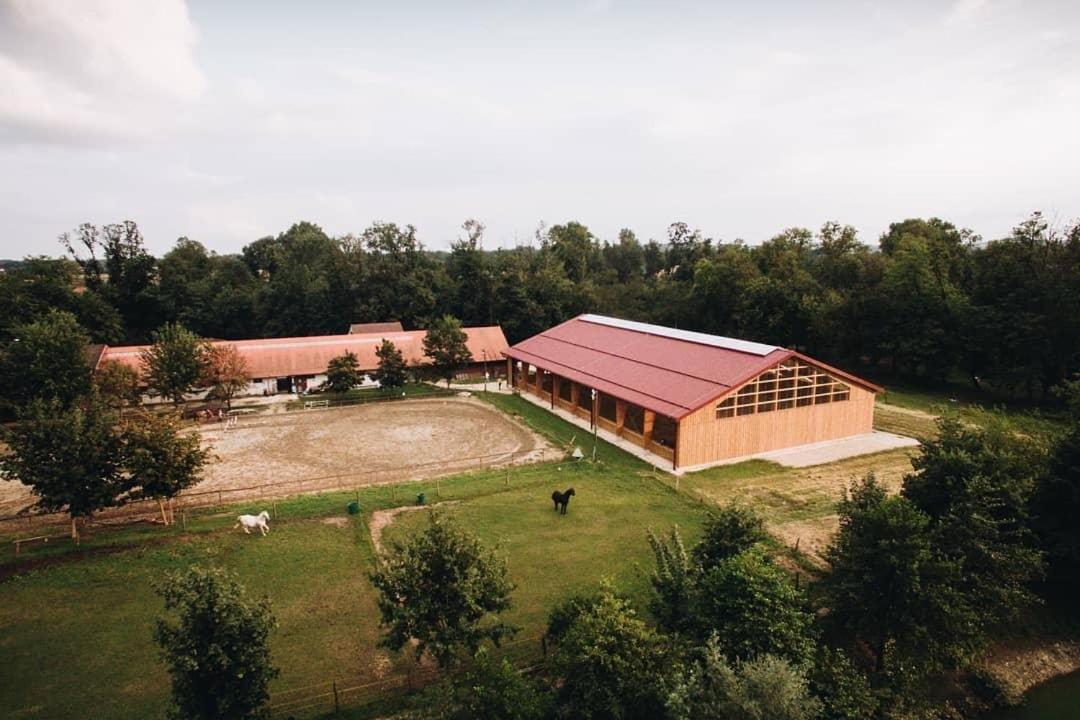 Apartment Country House Zaton Tisina Εξωτερικό φωτογραφία